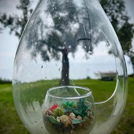 Acqua Blue Σπίτι διακοπών