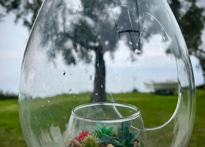 Acqua Blue Case de vacanță